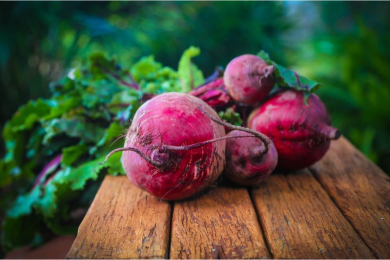 Manfaat Buah Bit