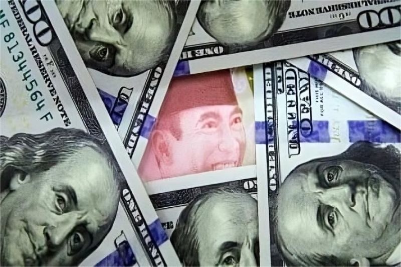 pemerintah beri insentif pajak kepada investor asing, UMKM lokal khawatir