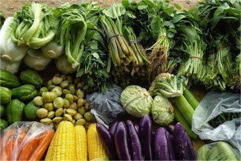sayur organik ibu muda