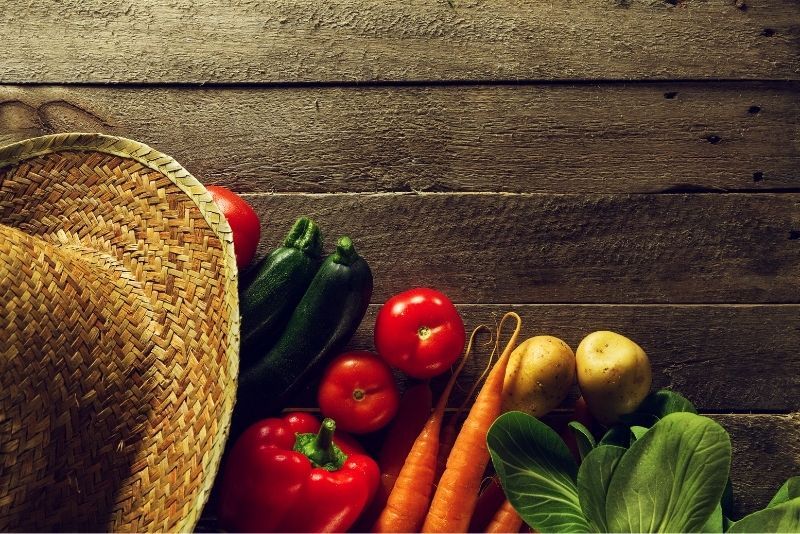 Kandungan Gizi dalam Sayur Rebus
