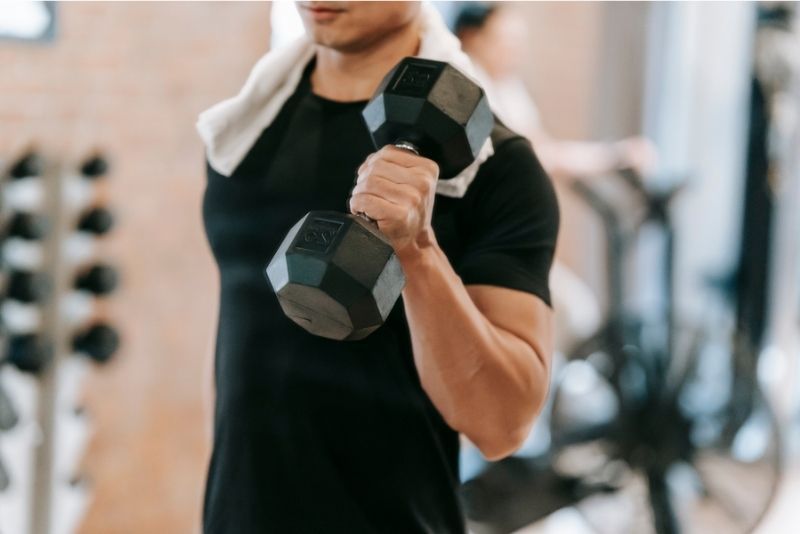 Apa perbedaan cutting dan bulking?