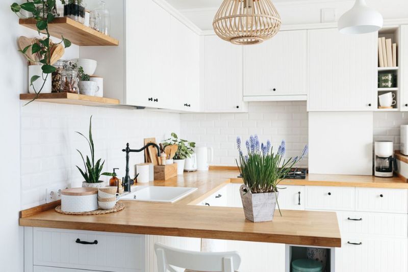 7 Tanaman yang Cocok Diletakkan di Dapur Menurut Feng Shui, Bisa Bawa Kekayaan