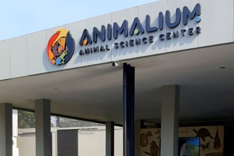 Wisata Sambil Belajar Satwa di Animalium!
