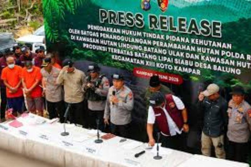 Hutan Lindung Riau Jadi Kebun Sawit Ilegal Dibongkar Polisi
