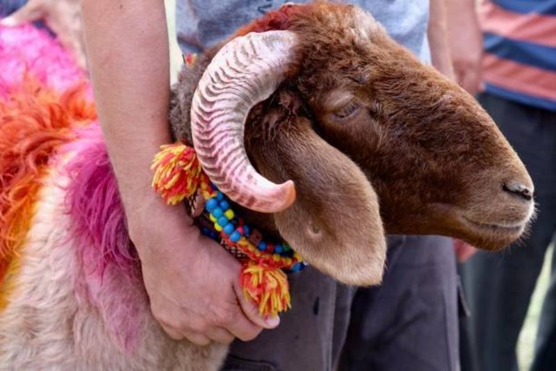 Mengungkap Tradisi Unik Iduladha di Nusantara: Warisan Budaya yang Sarat Makna