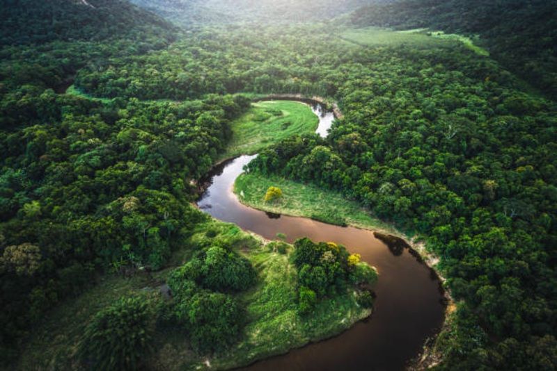 Perang Rating Bintang 1: Netizen Indonesia vs Brasil Gara-Gara Gunung Rinjani dan Hutan Amazon