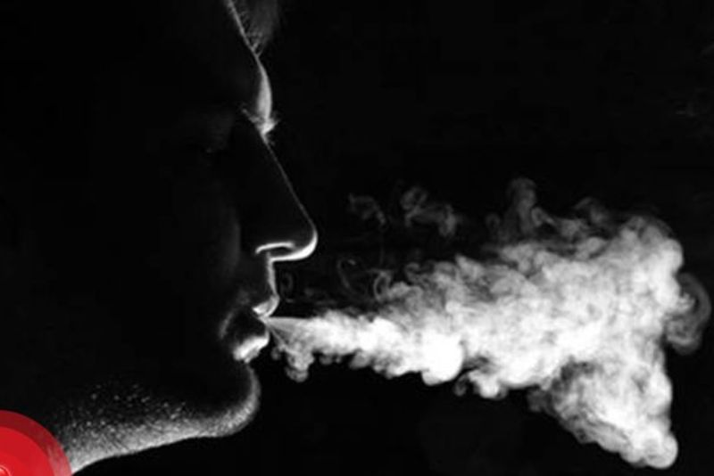 Apakah Benar Penurunan Jumlah Perokok Gen-Z: Ancaman bagi Gudang Garam?