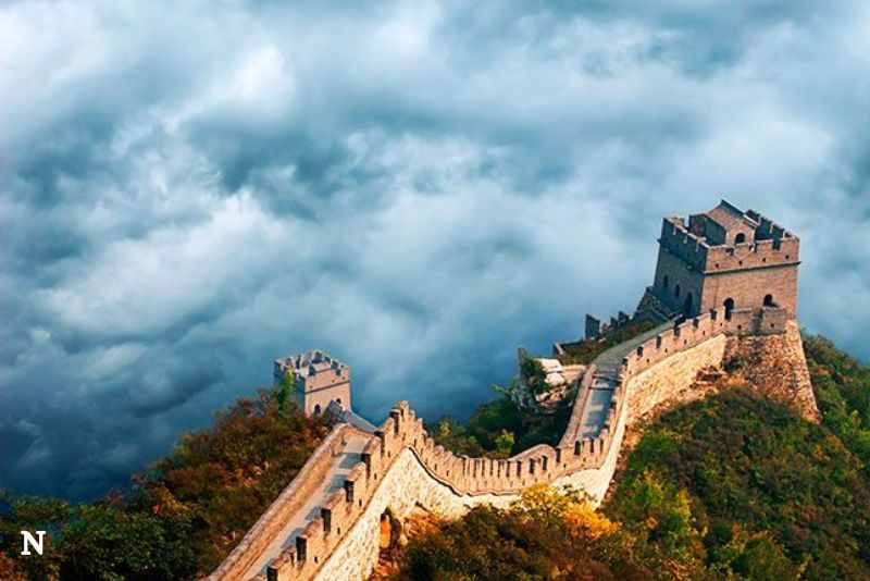 Basis Data Sifat Benih di China: Menciptakan Jembatan dalam Penelitian Global