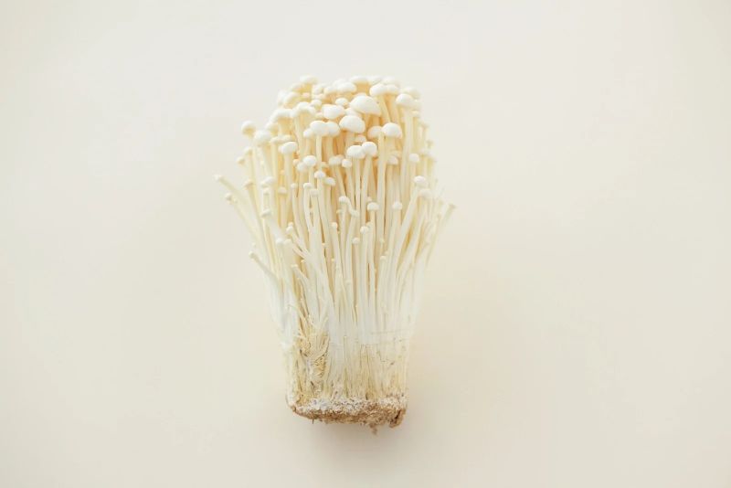 Jamur Enoki