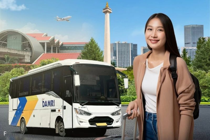Damri Luncurkan Fitur Pink Zone, Pengguna Wanita Bisa Pesan Kursi di Sebelah Penumpang Perempuan