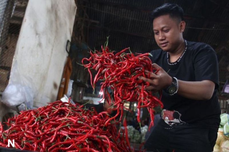 Harga Pangan Turun: Cabai Rawit dan Bawang Merah Alami Penurunan Signifikan
