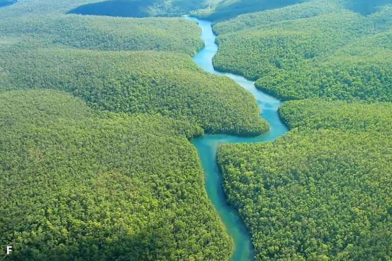 5 Sungai Terpanjang di Dunia dan Kisahnya