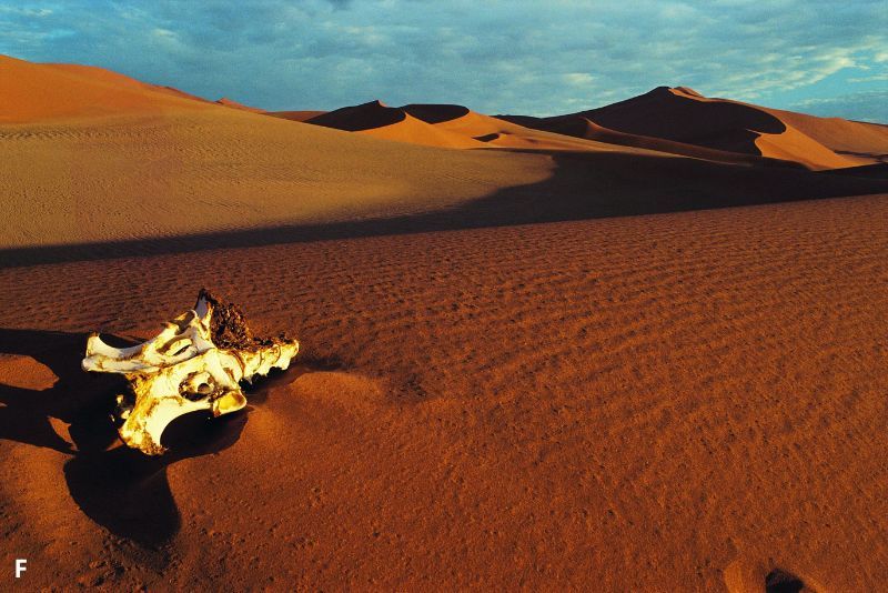 Rahasia Batu Bernyanyi di Gurun Namibia