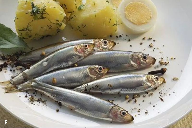 ikan teri