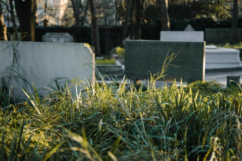 Makam