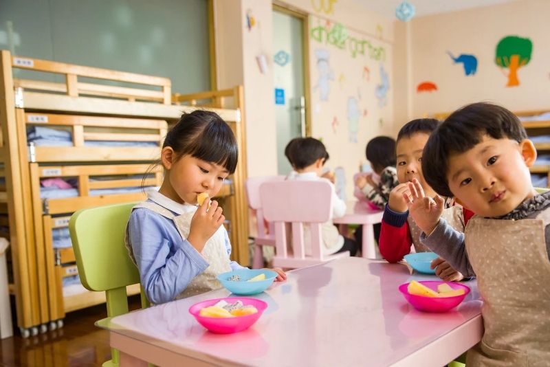 Anak Makan