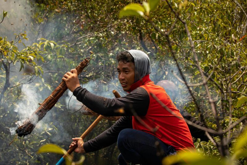 Mengambil Madu