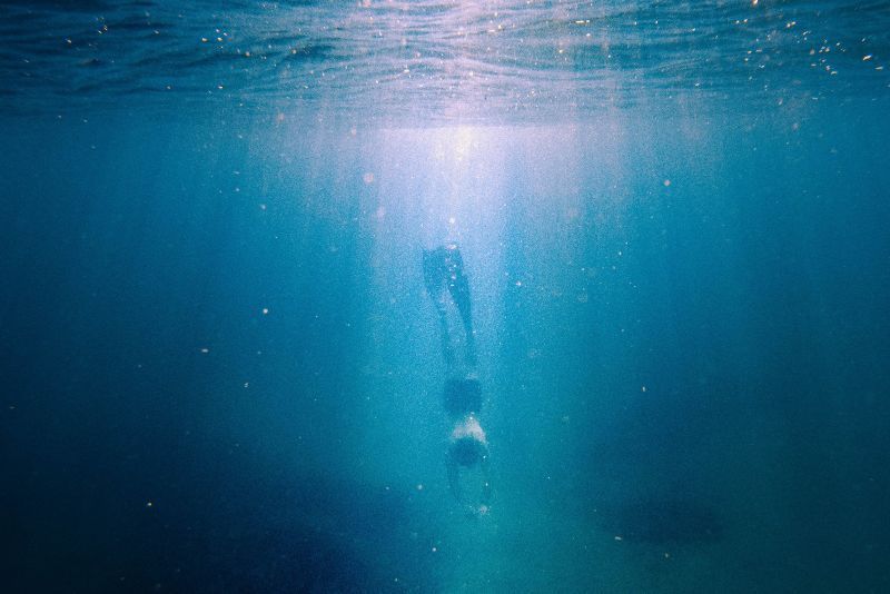 Laut