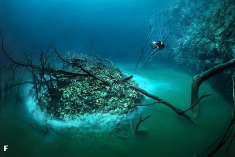 Sungai Misterius: Fenomena Alami Sungai Mengalir di Bawah Laut