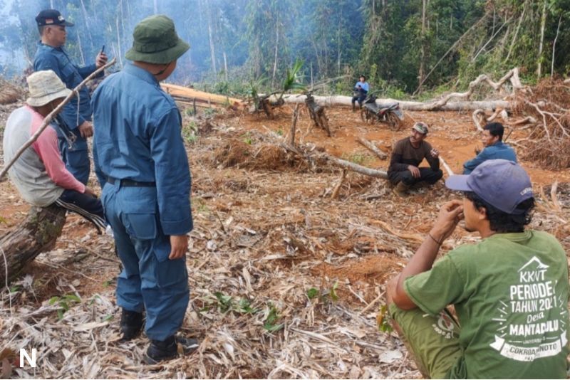 Penegakan Hukum Lingkungan: Penangkapan Pelaku Tanam Sawit di Lahan Terbakar
