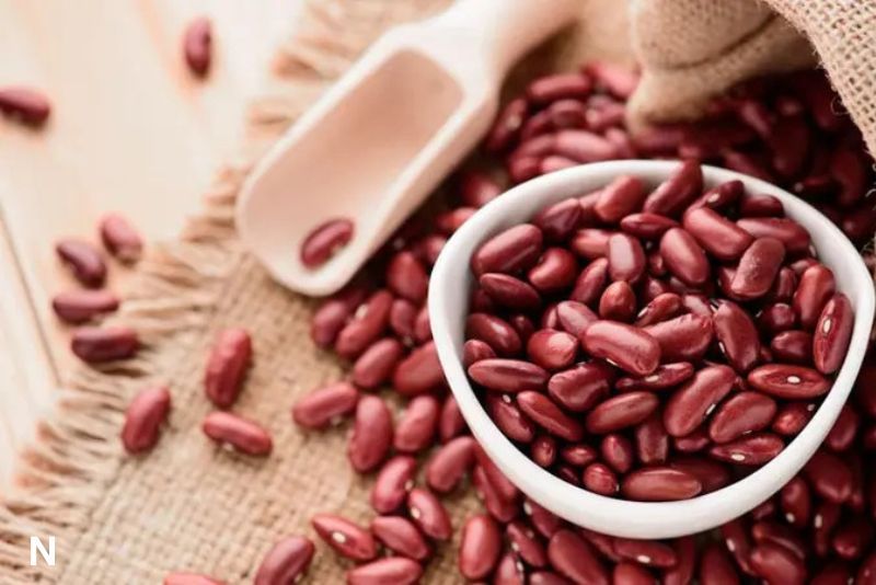 Kacang Merah, Rahasia Alami untuk Pencernaan Lebih Lancar