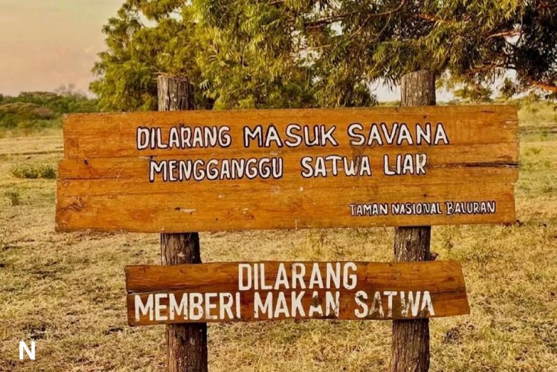 5 Larangan Umum yang Sering Terabaikan Saat Berpetualang di Alam Bebas