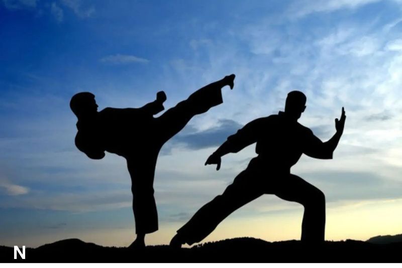 Bukan yang Paling Jago, Tapi yang Paling Cocok: Mengenal Keunggulan Setiap Aliran Bela Diri, Termasuk Pencak Silat