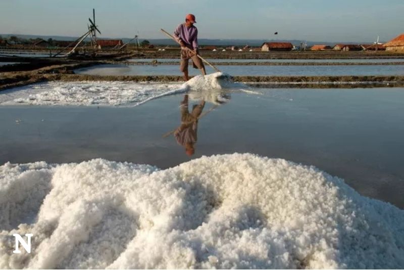 Ajinomoto Dorong Gaya Hidup Sehat dengan Kampanye “Bijak Garam” untuk Tekan Risiko Penyakit Jantung dan Hipertensi