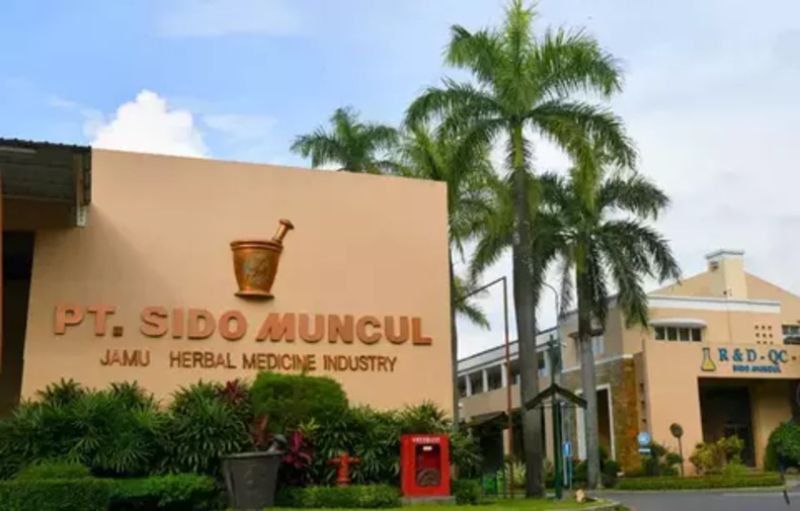 Lowongan Kerja Terbaru Sido Muncul 2025: Kesempatan Emas untuk Bergabung dengan Perusahaan Herbal Terbesar Indonesia