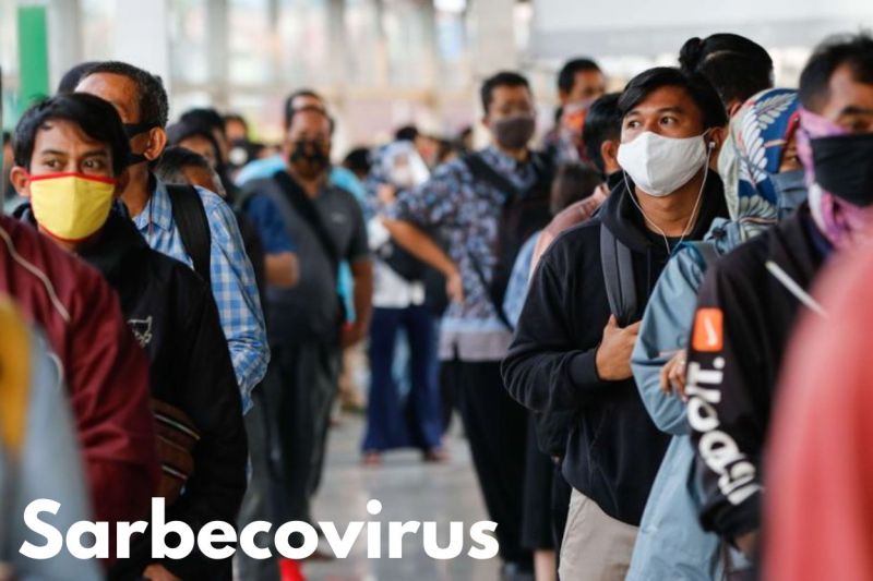 vaksin_semua_in_satu_cegah_lebih_setengah_kematian_dan_lockdown_di_pandemi