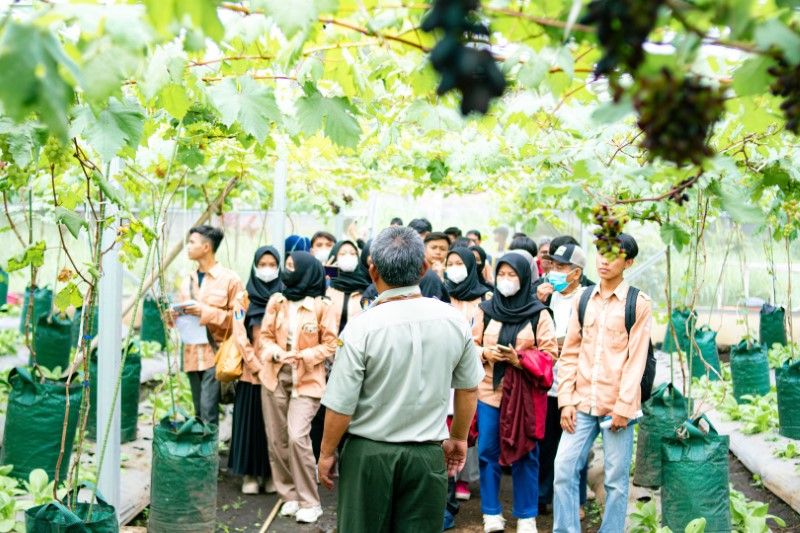 Jurusan Teknologi Pangan: Menjamin Ketahanan Pangan Era Modern