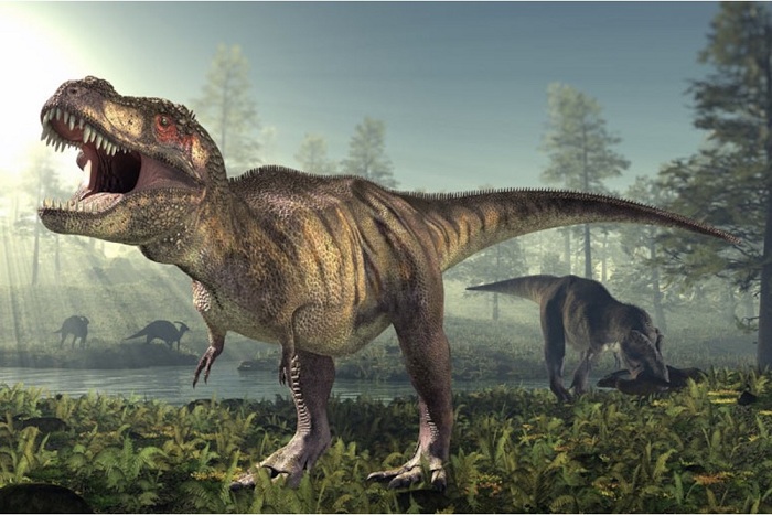 Ternyata T-Rex Tidak Memiliki Bulu