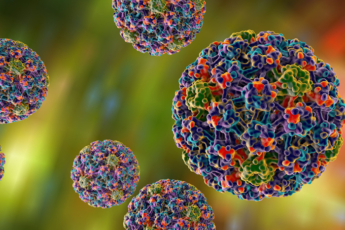 Mengenal Lebih Jauh Tentang HPV (Human Papilloma Virus) demi Kesehatan