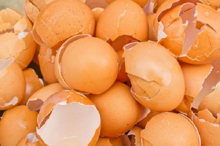3 Manfaat Cangkang Telur untuk Kehidupan
