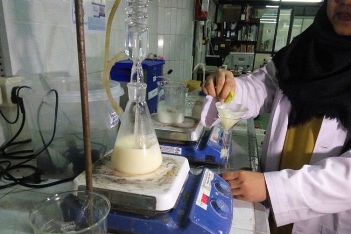 Mahasiswa UI Buat Detergen Cair dari Kelapa Sawit