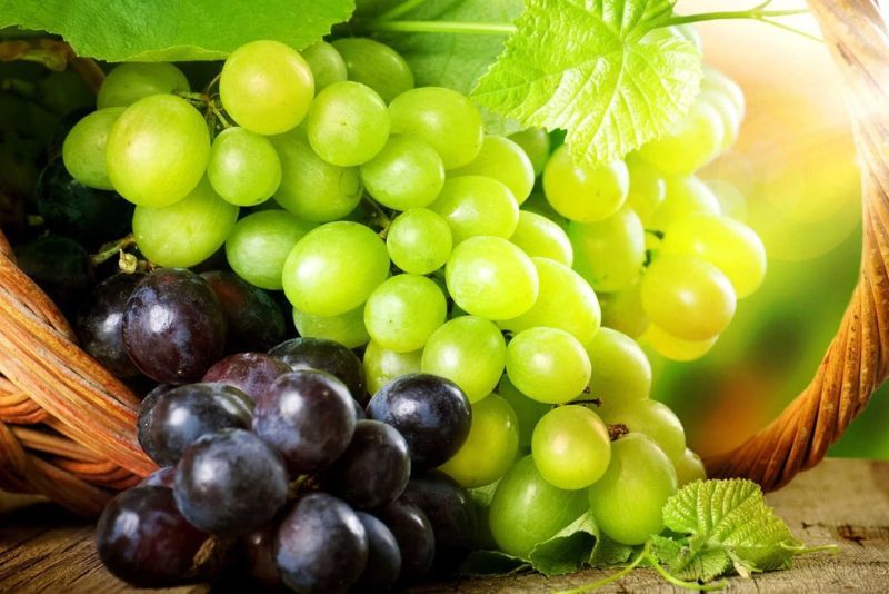 10 Manfaat Buah Anggur untuk Kesehatan Tubuh
