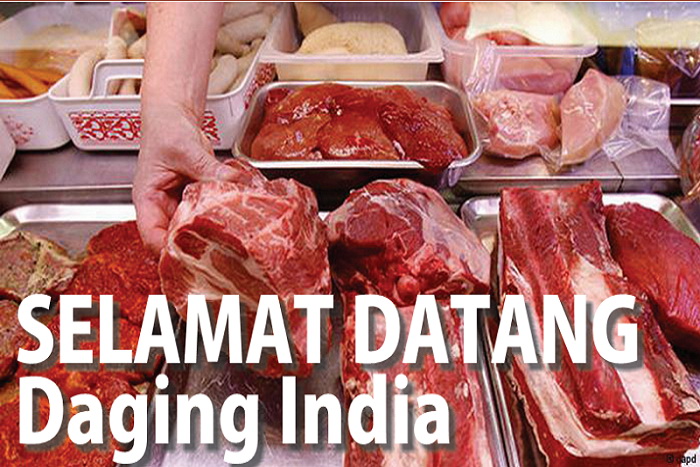 Imbangi Harga Daging Sapi, Pemerintah Rencana Import Daging Kerbau India