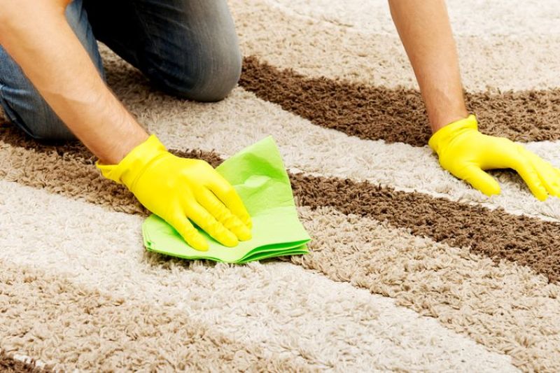 Cara Membersihkan Karpet di Rumah