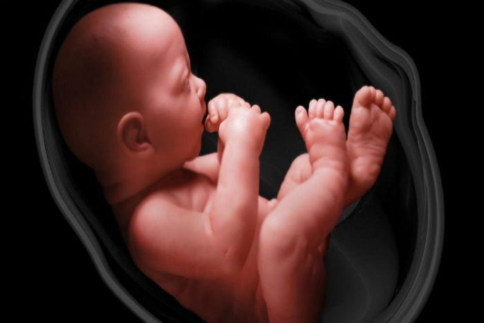 Bagaimana Bayi Bernafas di Dalam Rahim ?
