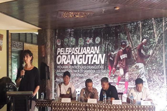 Yayasan Penyelamat Orangutan Terima Penghargaan World Branding Award