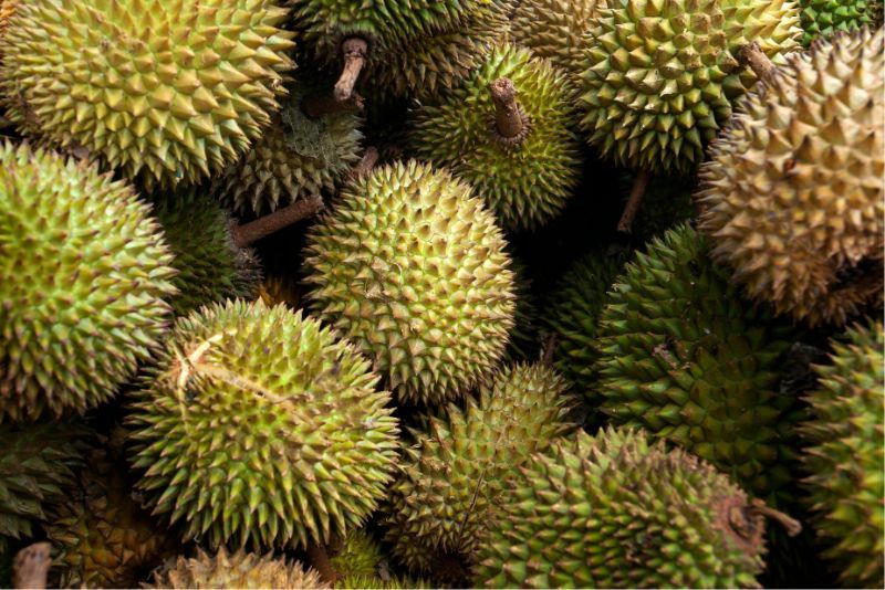 Manfaat dan Khasiat Buah Durian untuk Kesehatan