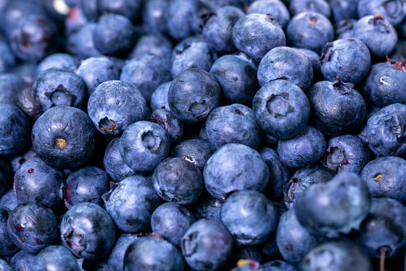 Manfaat dan Khasiat Buah Blueberry untuk Kesehatan