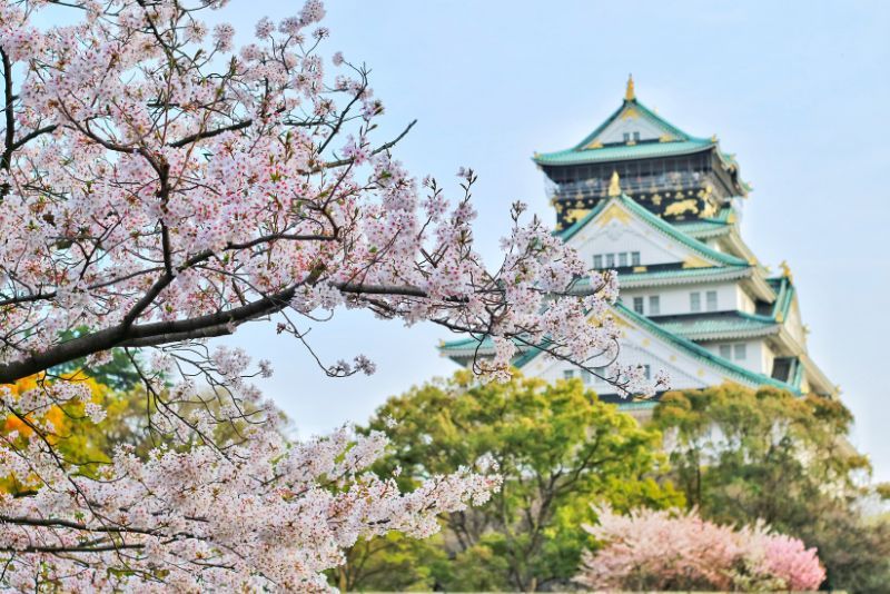 Fakta Unik tentang Jepang: Menakjubkan!