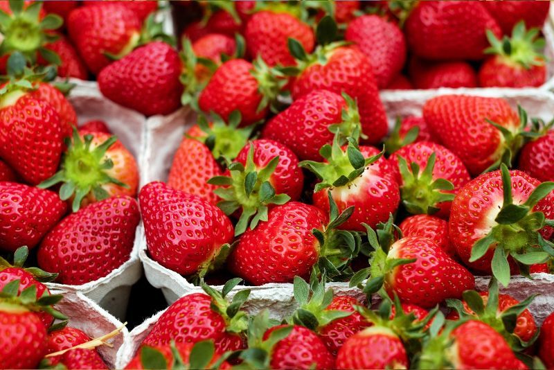 Manfaat dan Khasiat Buah Strawberry untuk Kesehatan