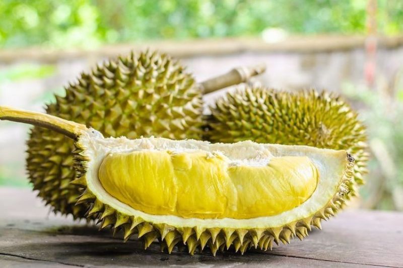 Durian: Rajanya Buah untuk Kesehatan