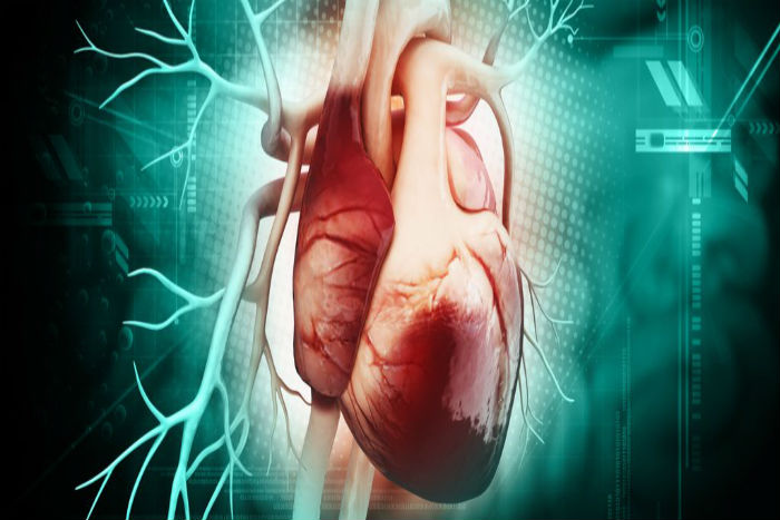 Penemuan Ilmuwan Terkini: Menumbuhkan Organ Tubuh Pengganti