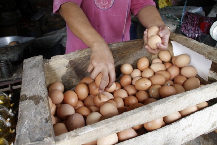 Harga Telur Merangkak Naik, di Kupang Mencapai Rp 60ribu