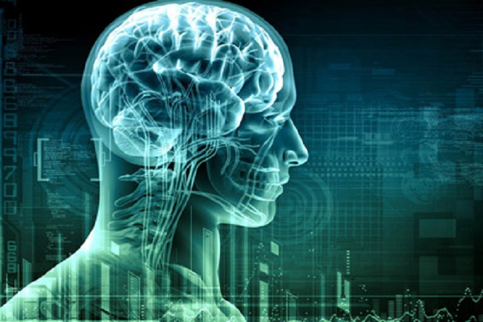 Otak Manusia Mengandung Struktur 11 Dimensi