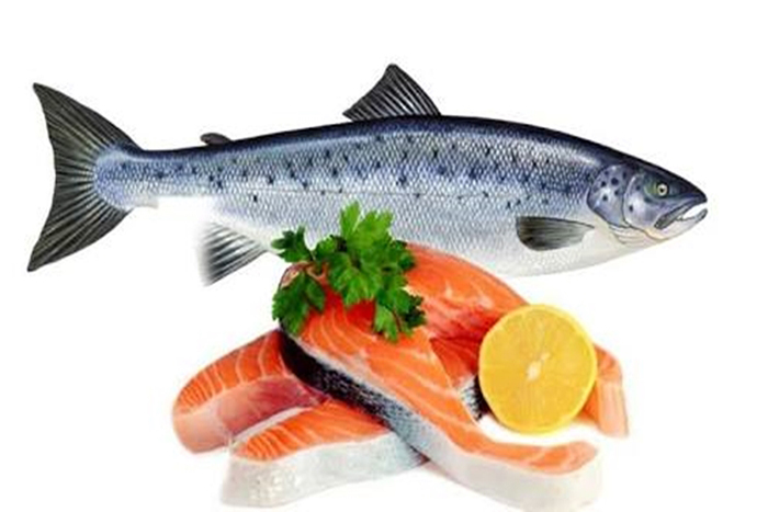 9 Manfaat Ikan Salmon Bagi Kesehatan