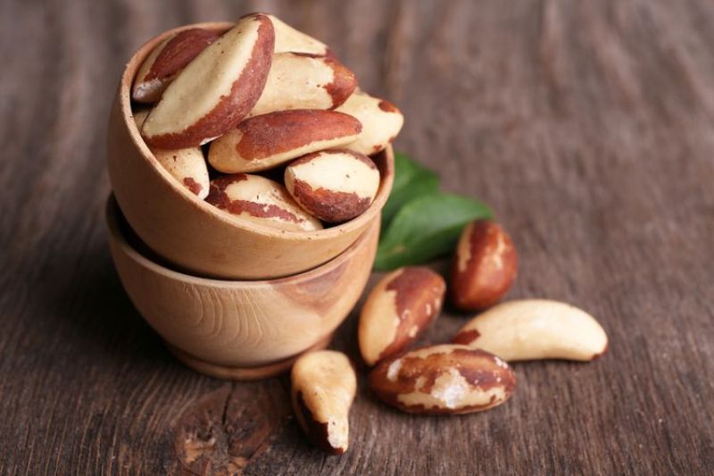Manfaat Kacang Brazil: Nutrisi dan Kesehatan Tubuh